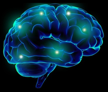 нейробика мозг
